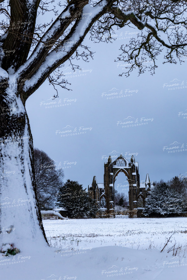 To buy a print or any of the below please click on the images